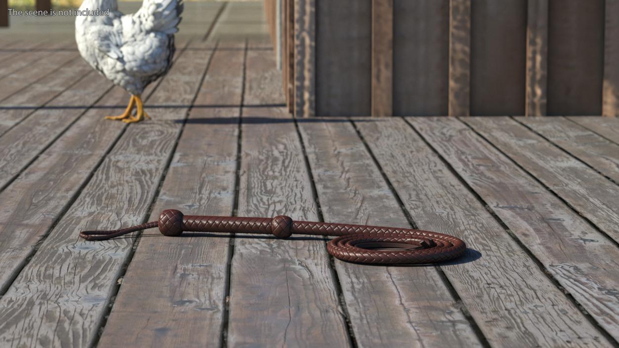 Brown Cowboy Whip Curved 3D model