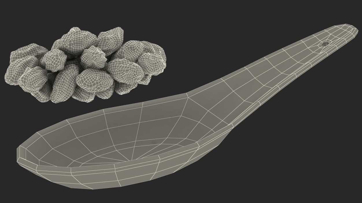 Black Raisins in a Spoon 3D model