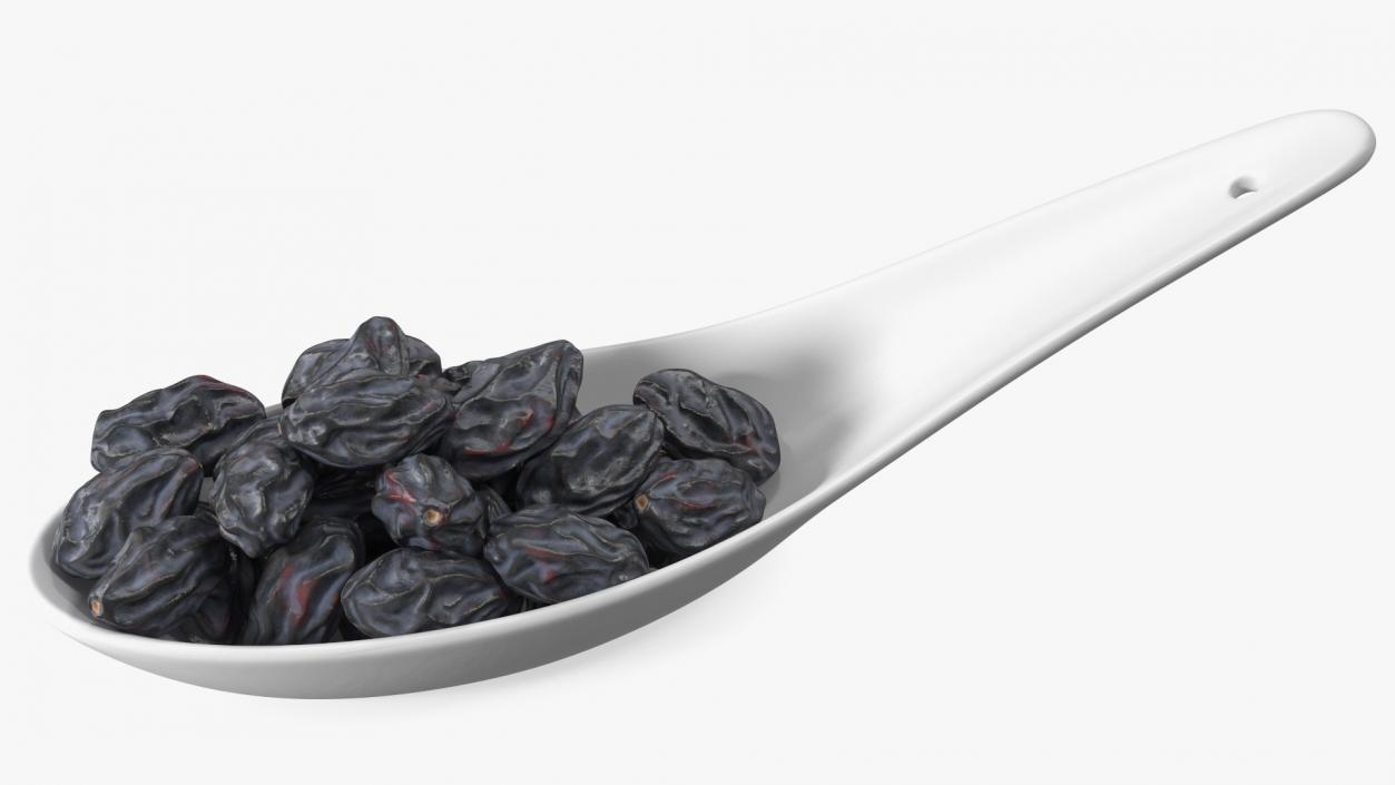 Black Raisins in a Spoon 3D model