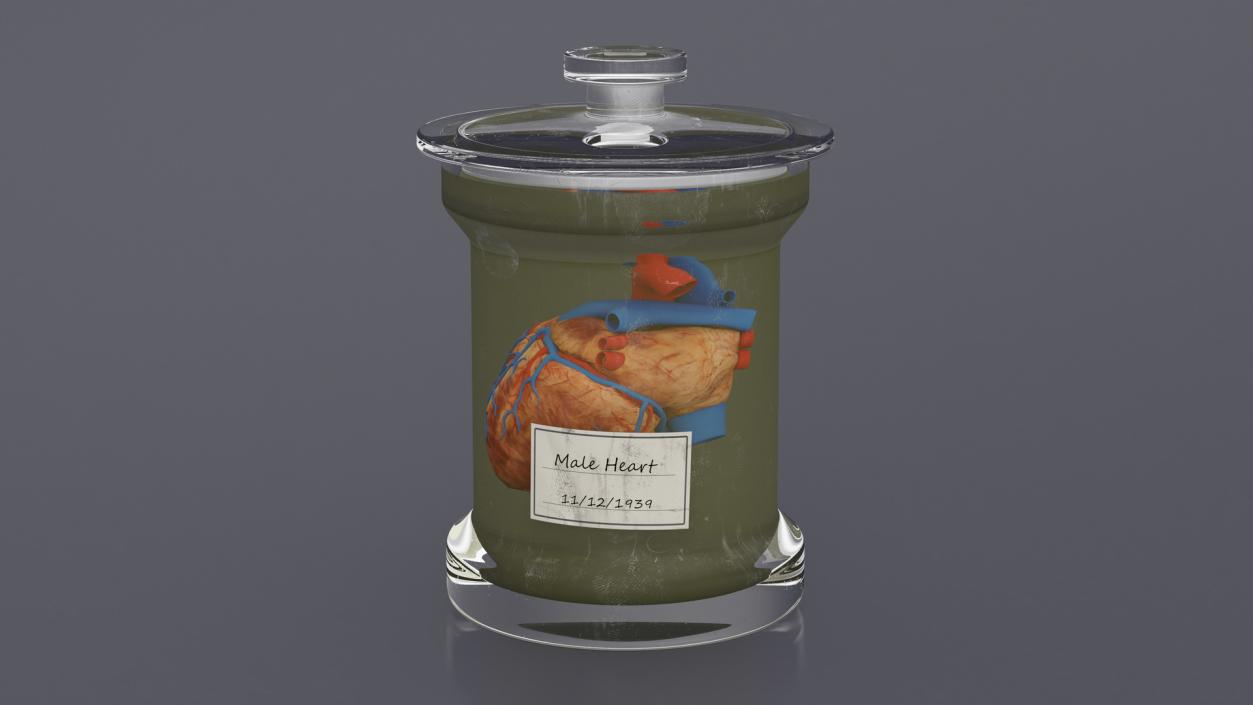 Human Heart in Glass Jar 3D model