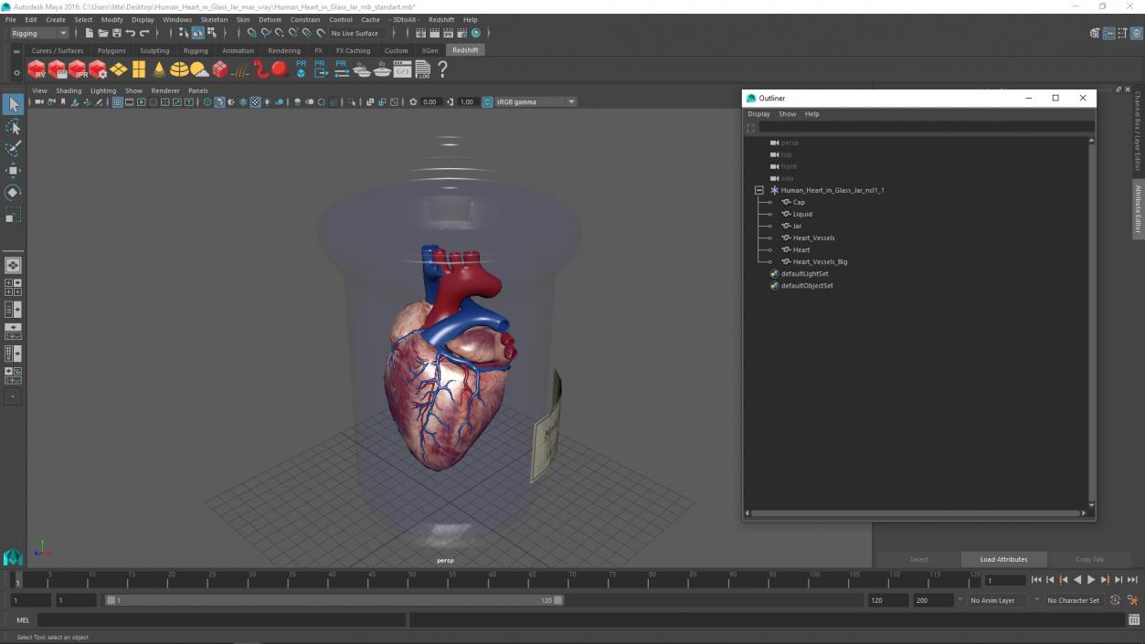 Human Heart in Glass Jar 3D model