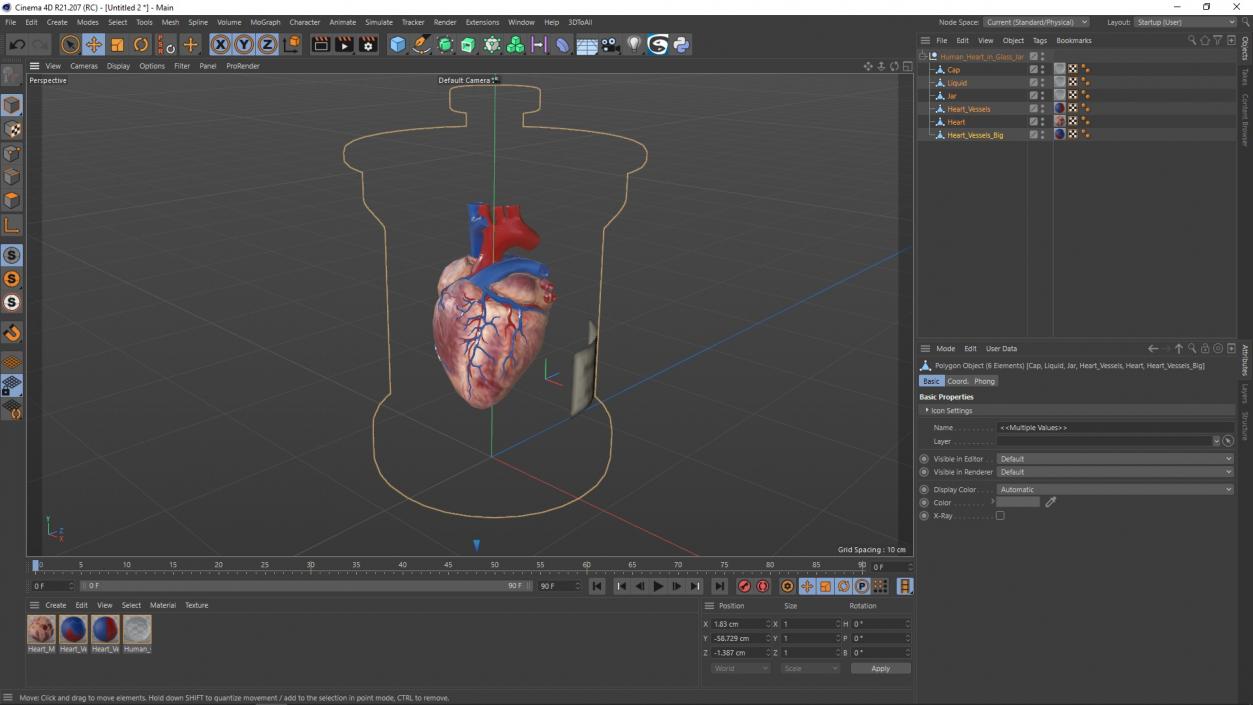 Human Heart in Glass Jar 3D model