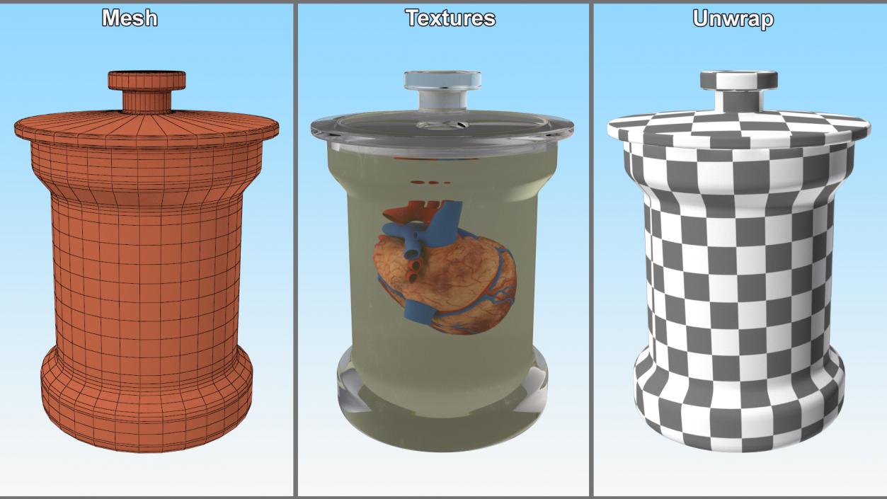 Human Heart in Glass Jar 3D model