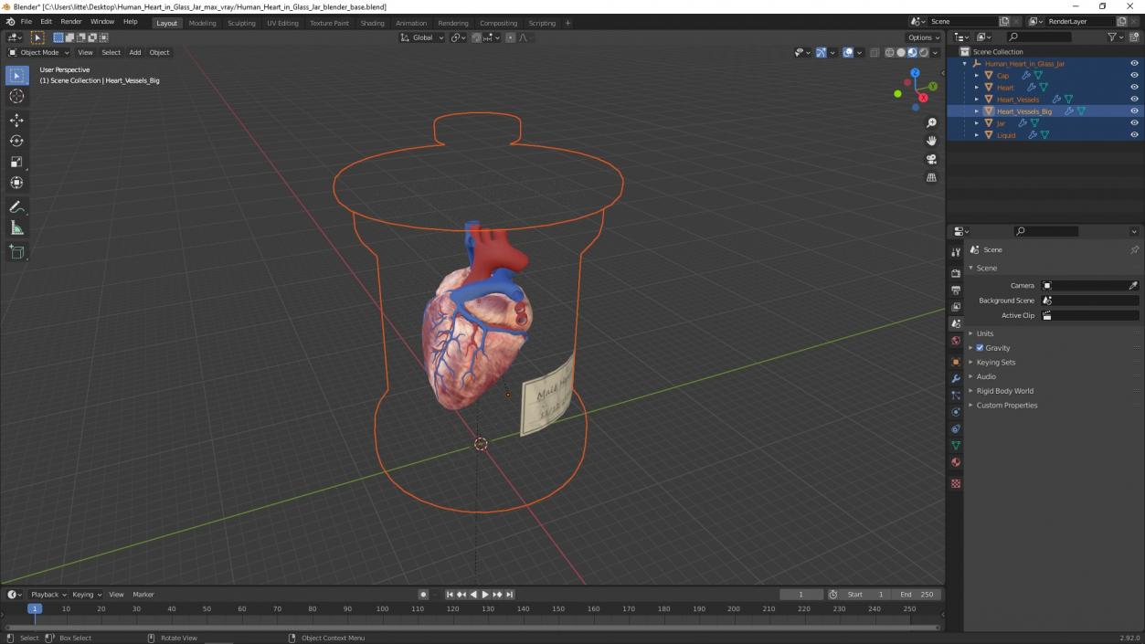 Human Heart in Glass Jar 3D model