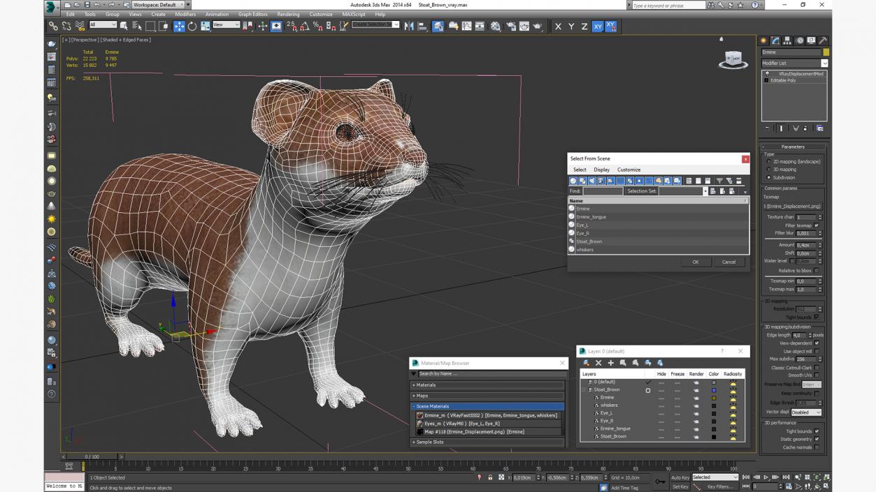 3D Stoat Brown 2 model