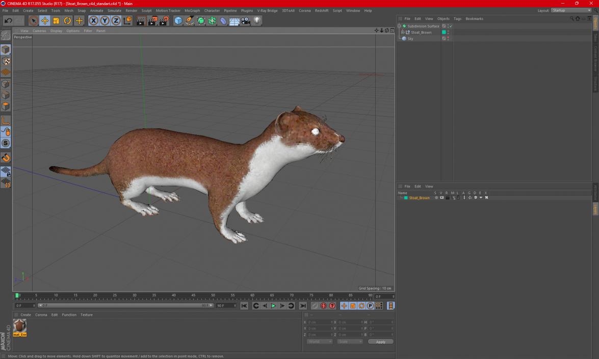 3D Stoat Brown 2 model