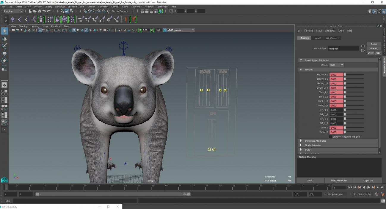 Australian Koala Rigged for Maya 3D