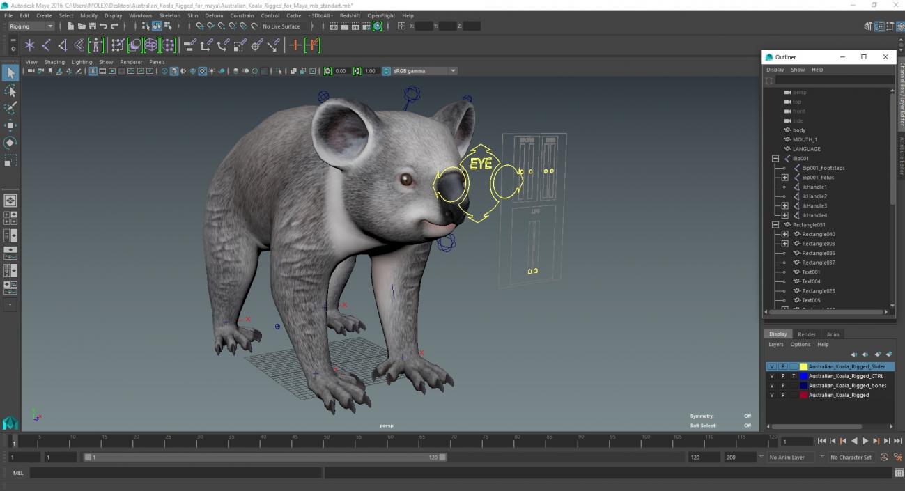 Australian Koala Rigged for Maya 3D