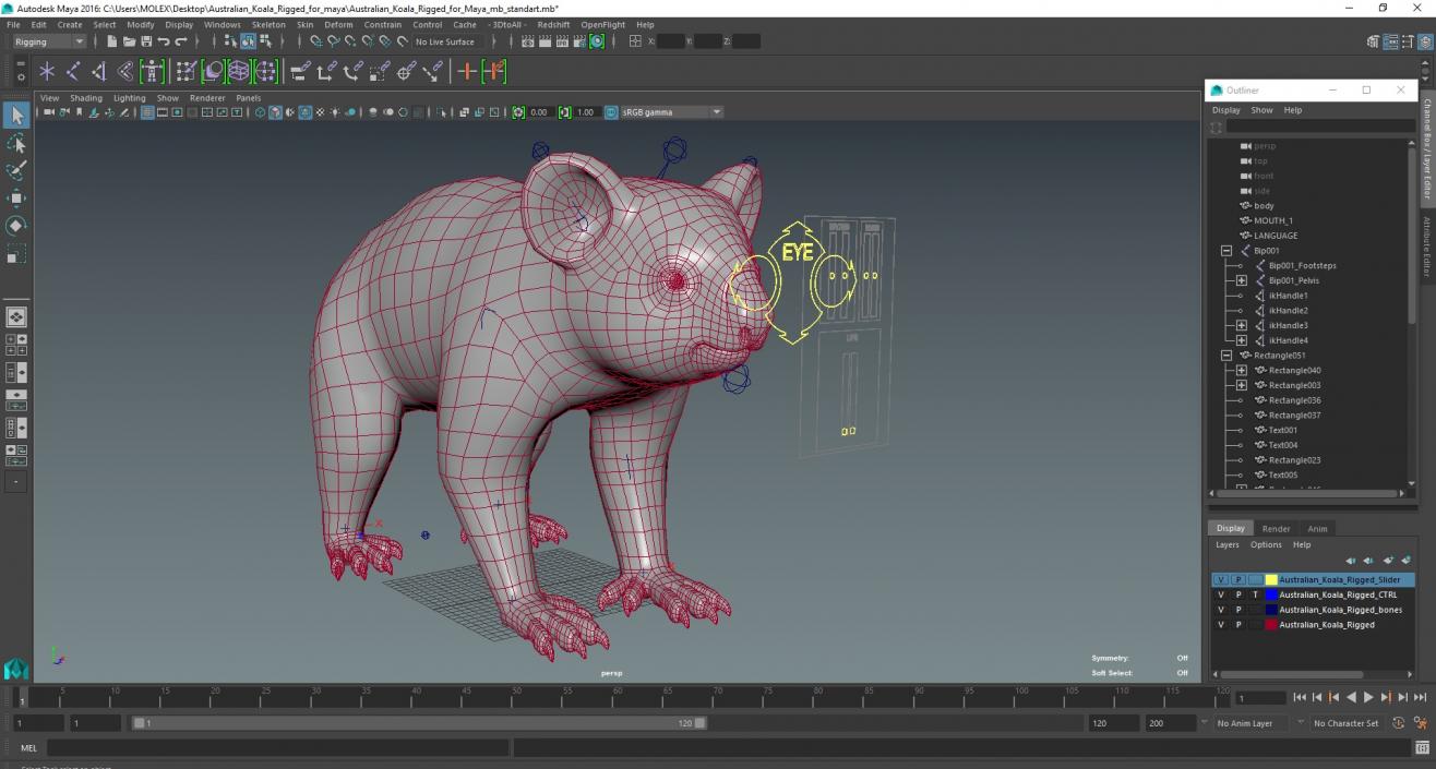 Australian Koala Rigged for Maya 3D