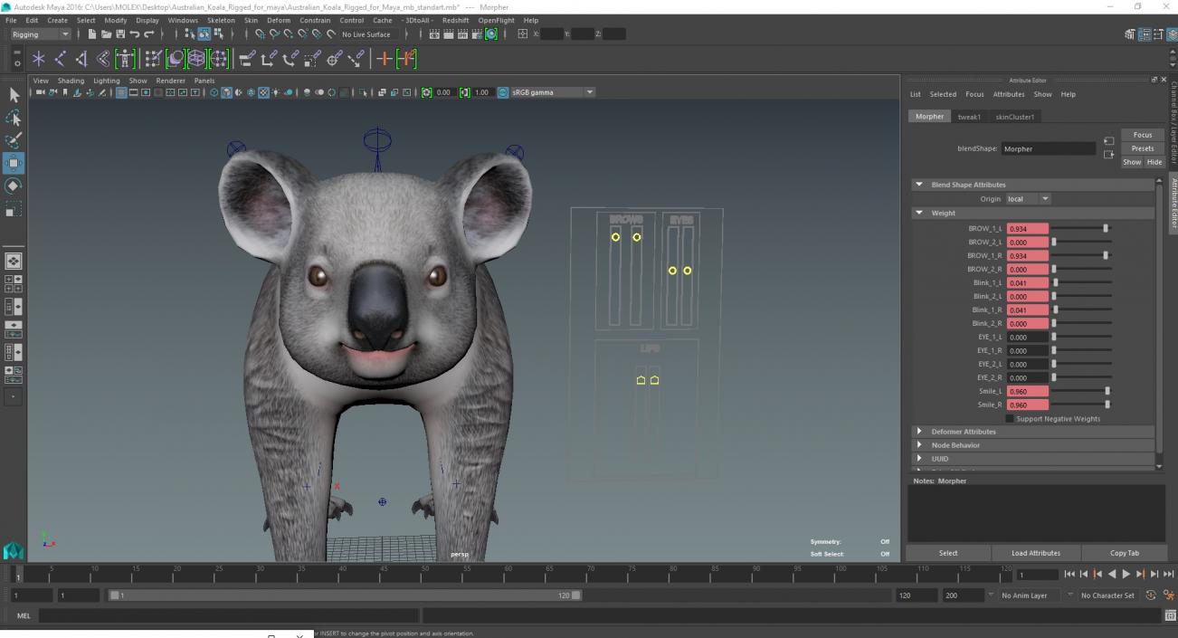 Australian Koala Rigged for Maya 3D