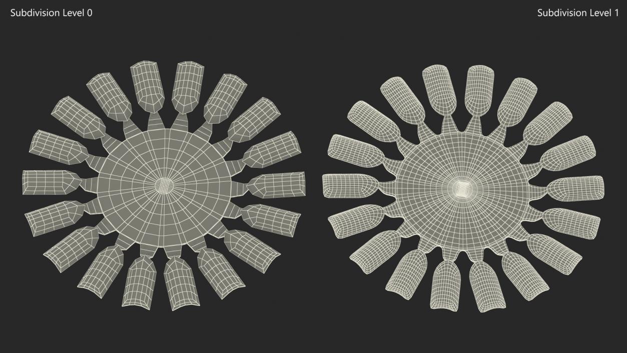 Nail Display Sunflower Shaped 3D model