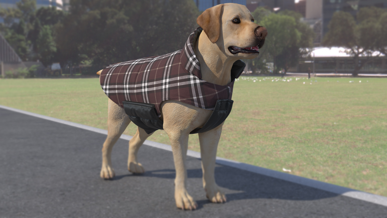 Dog Coat Brown 3D model