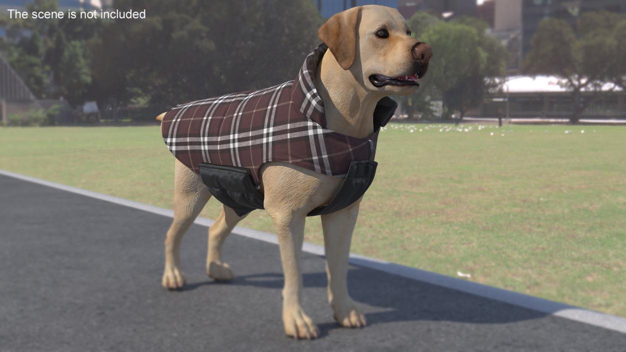 Dog Coat Brown 3D model