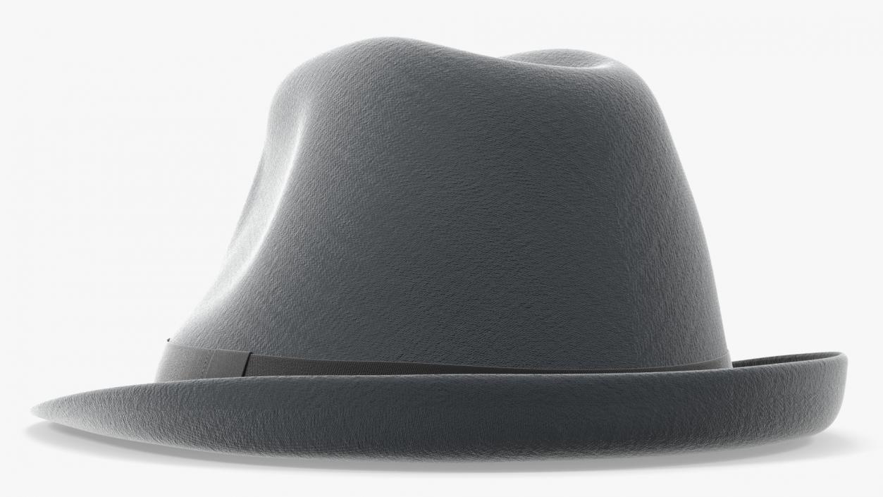 3D model Grey Hat