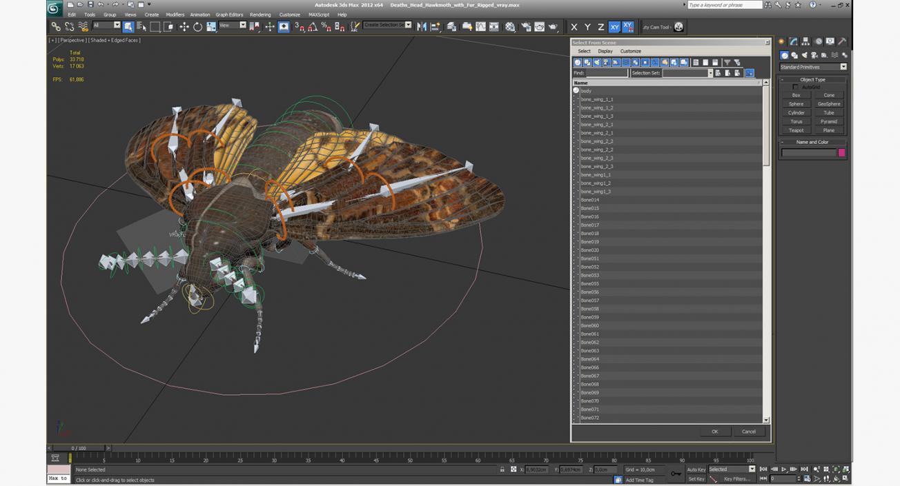 3D Deaths Head Hawkmoth with Fur Rigged