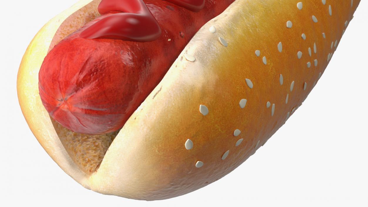 3D model Hot Dog with Ketchup