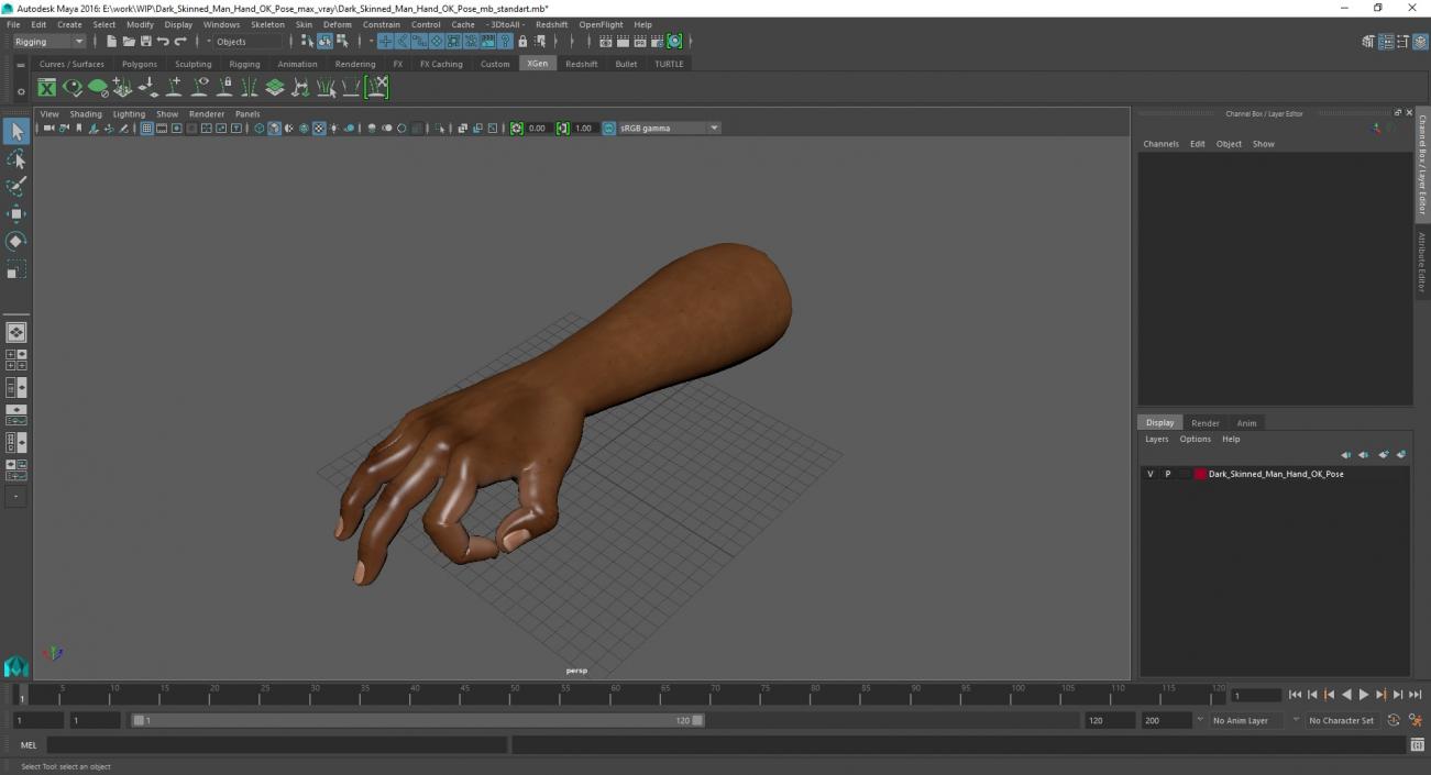 Dark Skinned Man Hand OK Pose 3D model