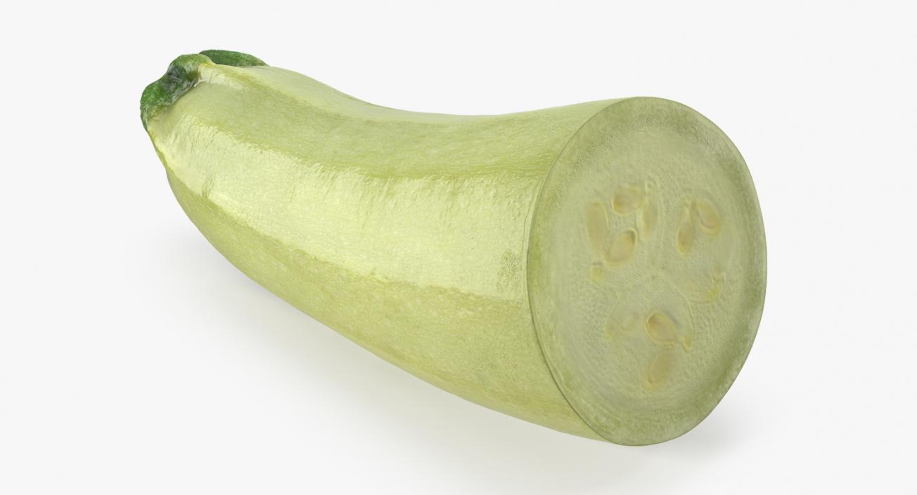 Summer Squash Gray Zucchini Half 3D