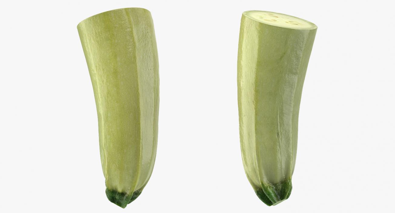 Summer Squash Gray Zucchini Half 3D