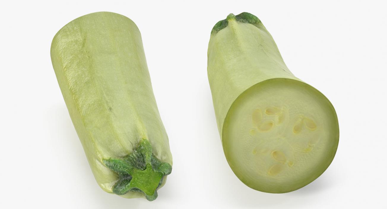 Summer Squash Gray Zucchini Half 3D