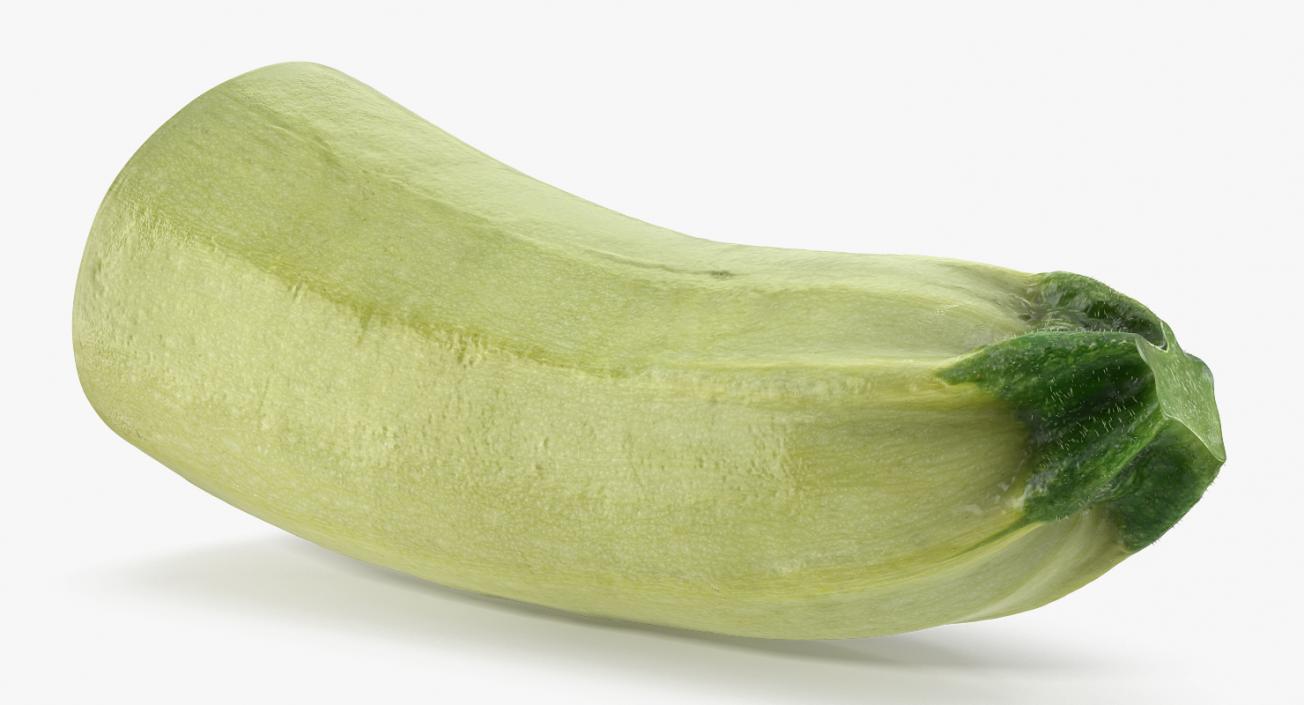 Summer Squash Gray Zucchini Half 3D