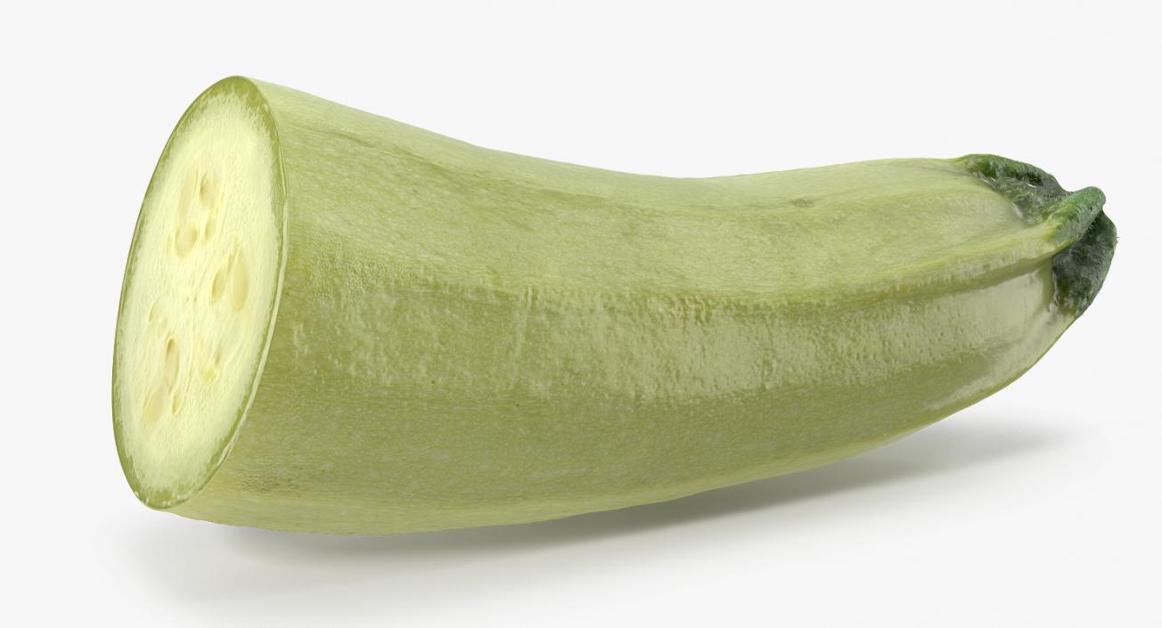 Summer Squash Gray Zucchini Half 3D