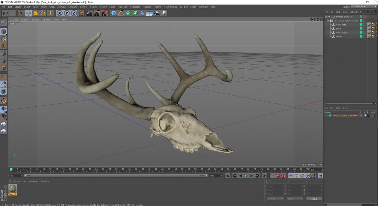 3D model Deer Skull with Antlers 2