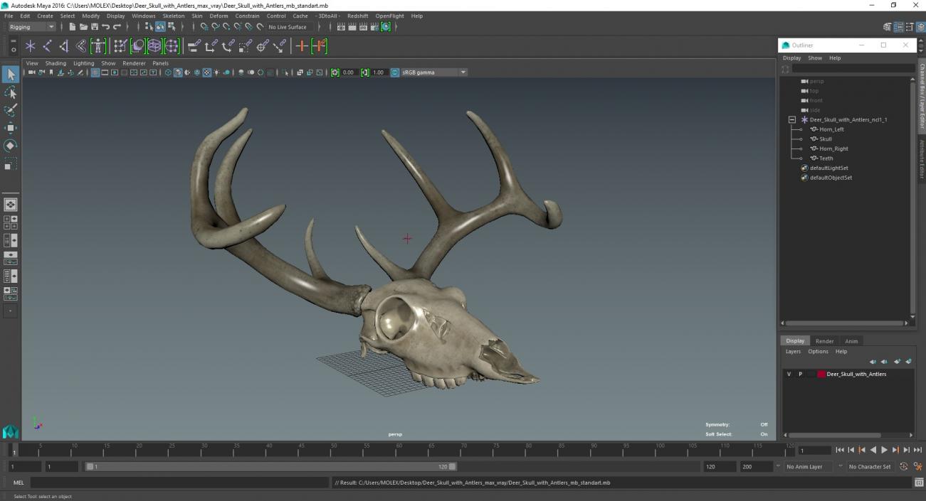 3D model Deer Skull with Antlers 2