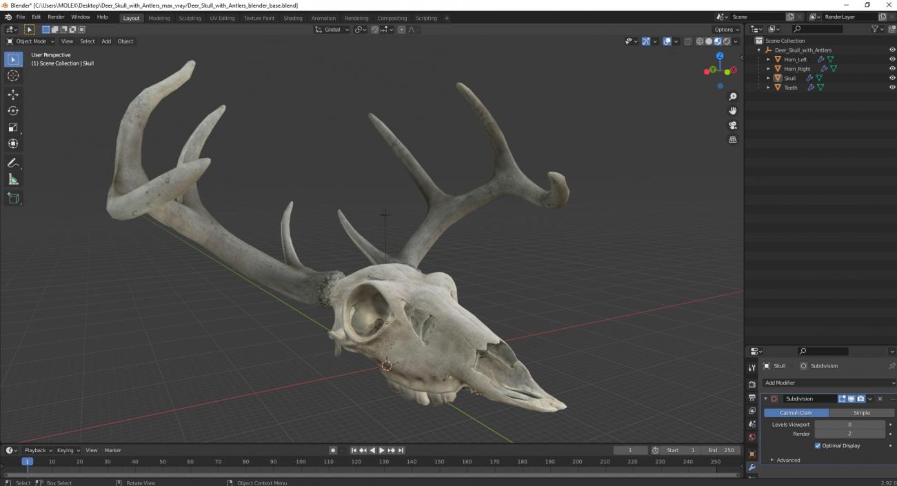 3D model Deer Skull with Antlers 2