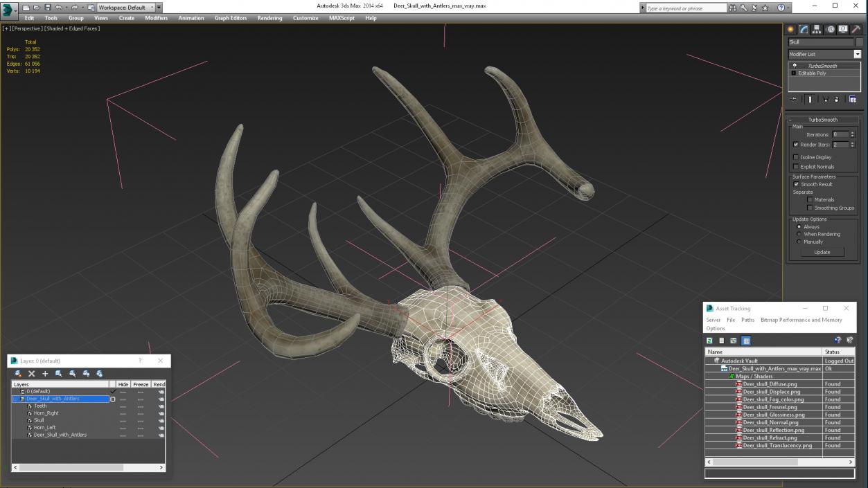 3D model Deer Skull with Antlers 2