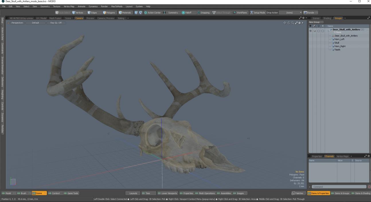 3D model Deer Skull with Antlers 2