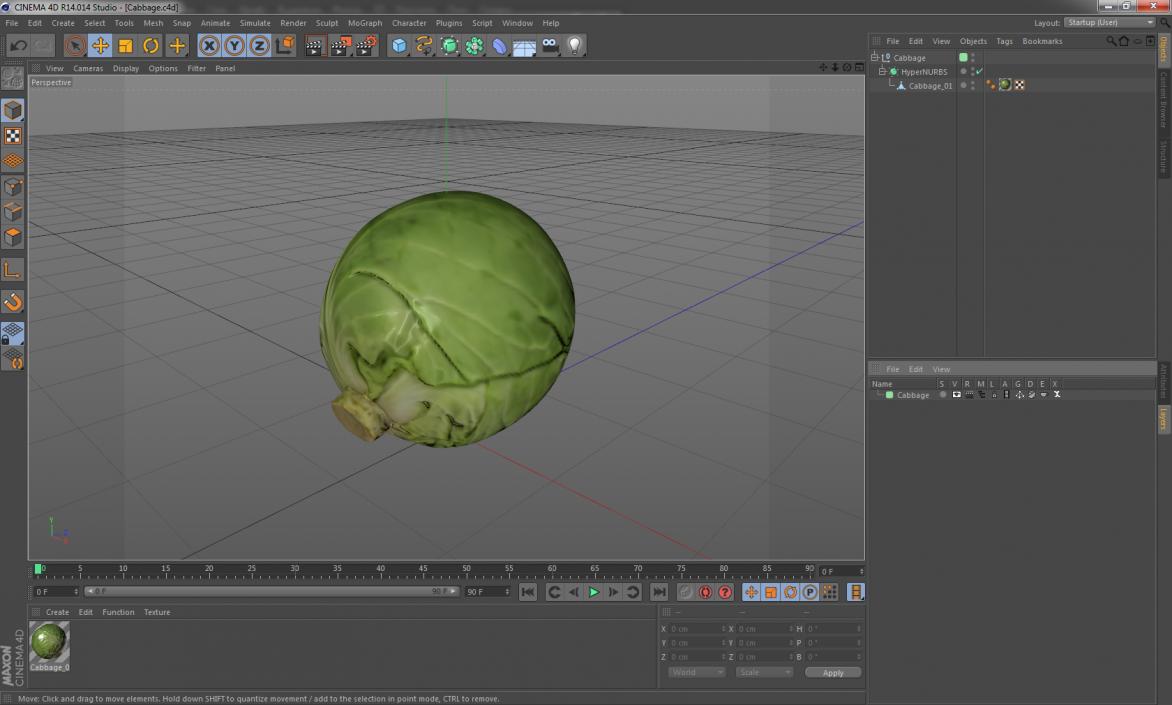 Cabbage 3D model