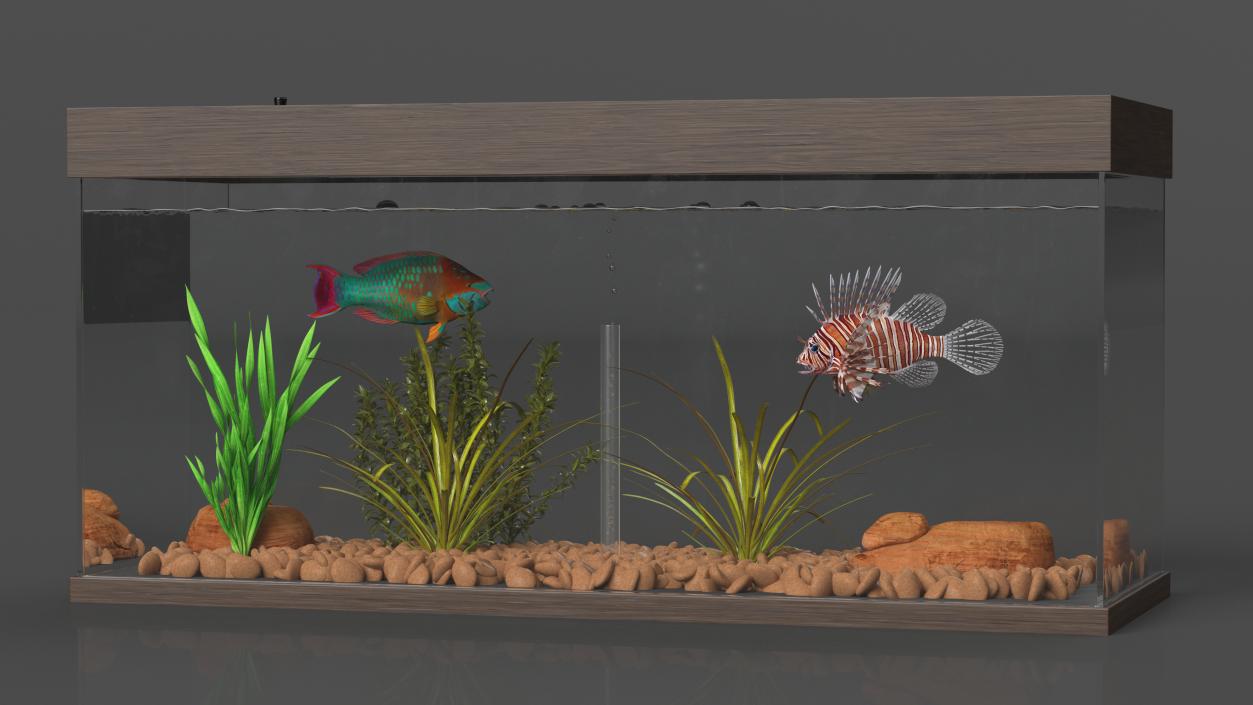 3D Fish Tank Wooden Long 2 model