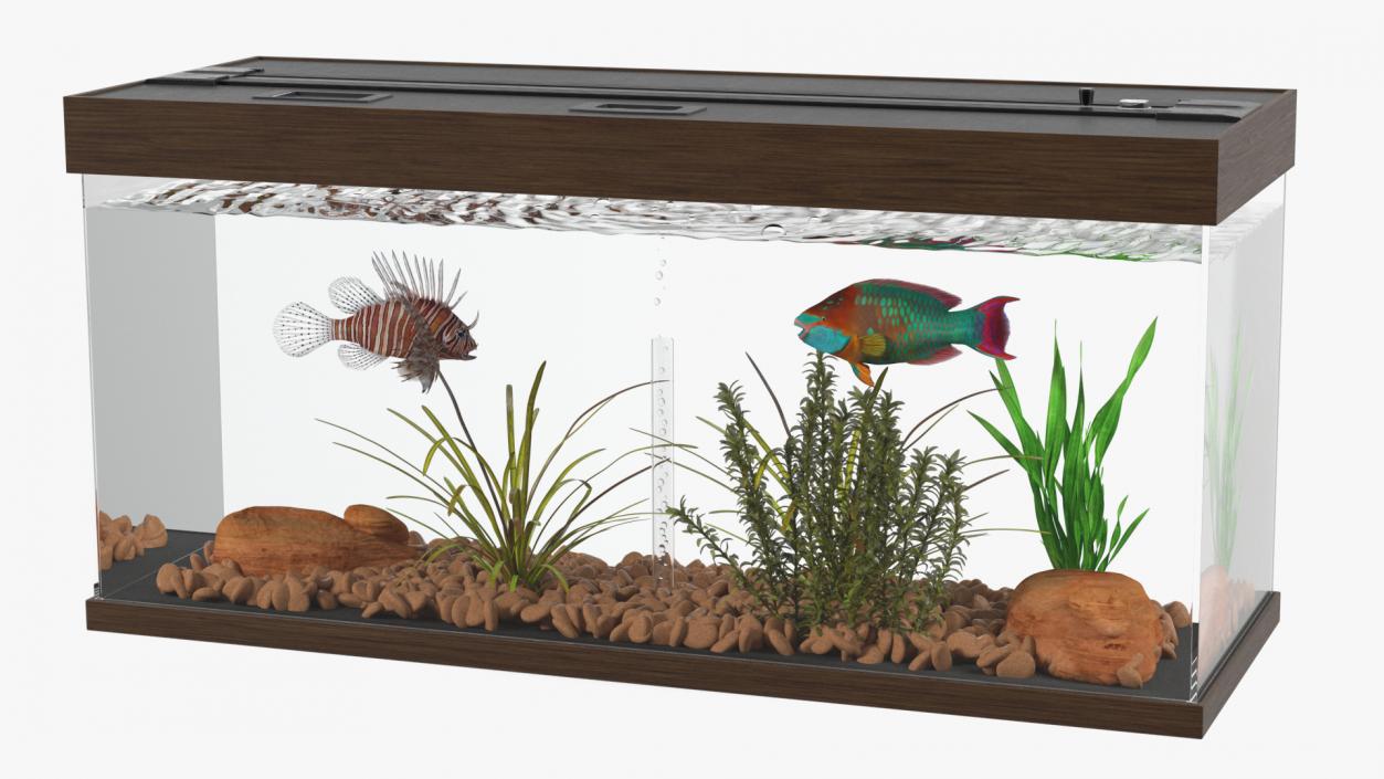 3D Fish Tank Wooden Long 2 model