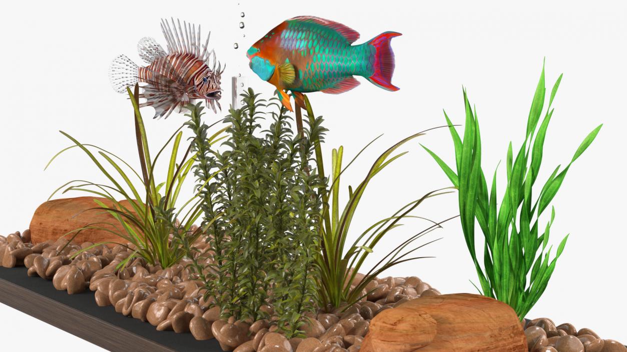 3D Fish Tank Wooden Long 2 model