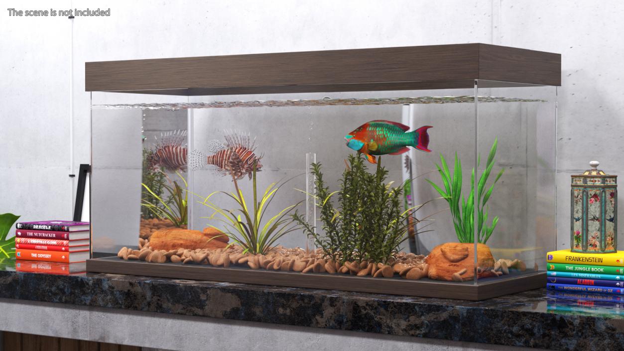 3D Fish Tank Wooden Long 2 model