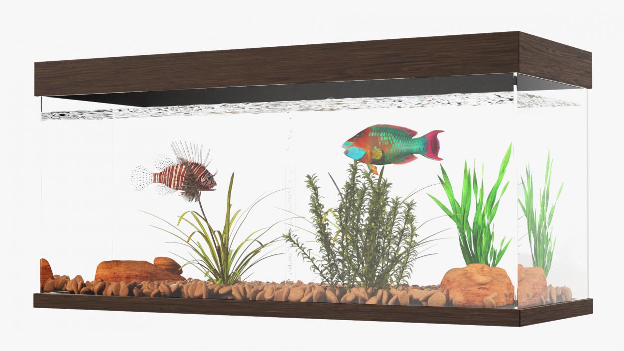 3D Fish Tank Wooden Long 2 model