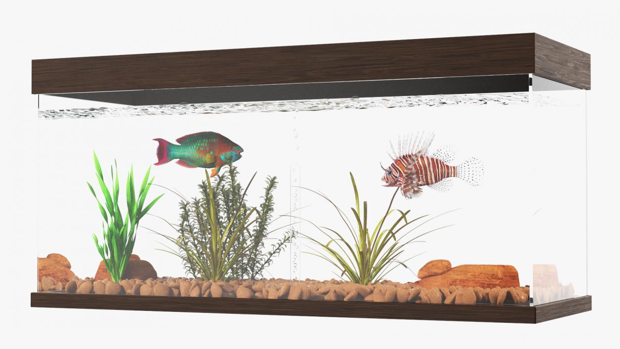 3D Fish Tank Wooden Long 2 model