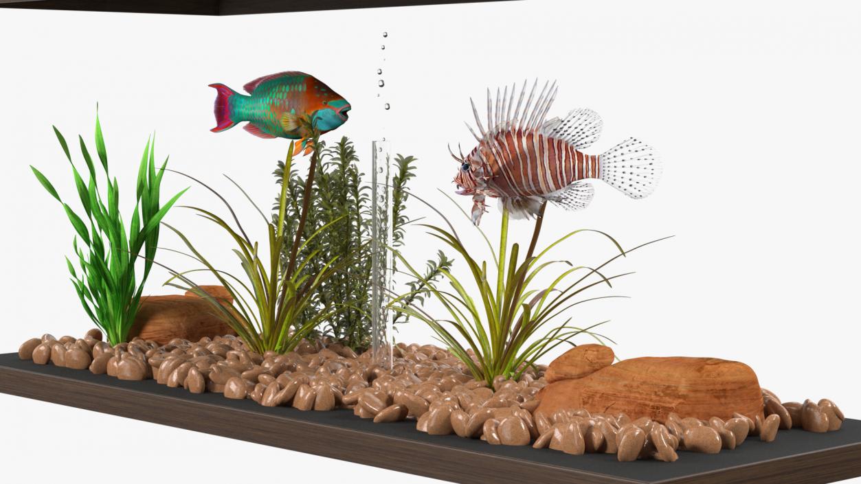 3D Fish Tank Wooden Long 2 model