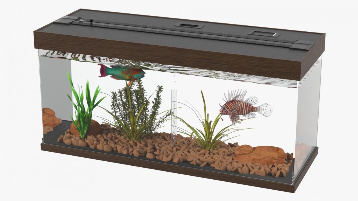 3D Fish Tank Wooden Long 2 model