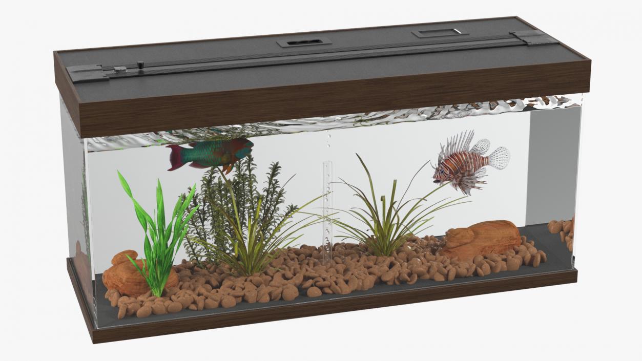 3D Fish Tank Wooden Long 2 model