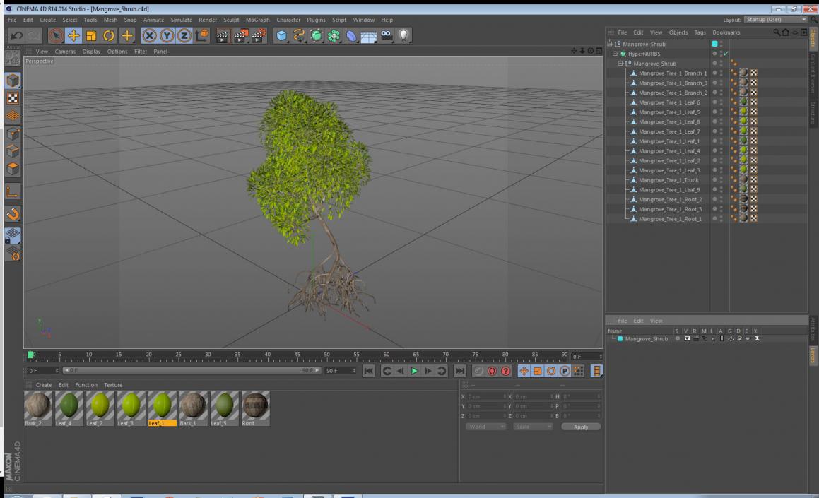 Mangrove Shrub 3D model