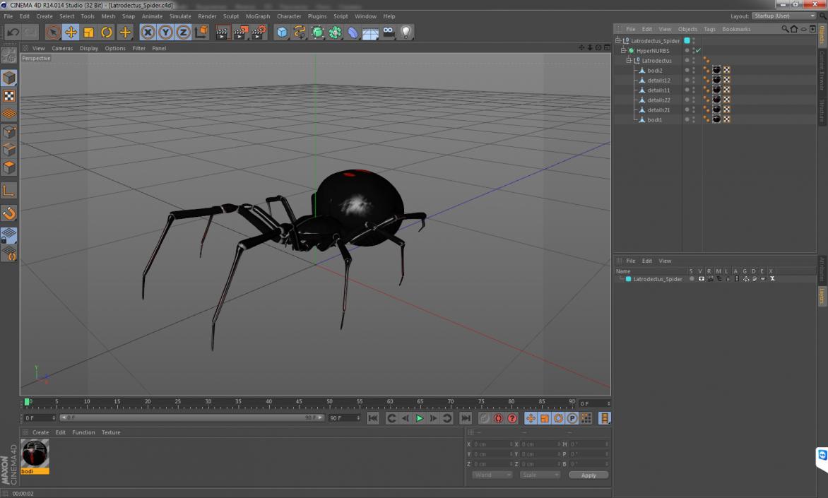 3D Latrodectus Spider model