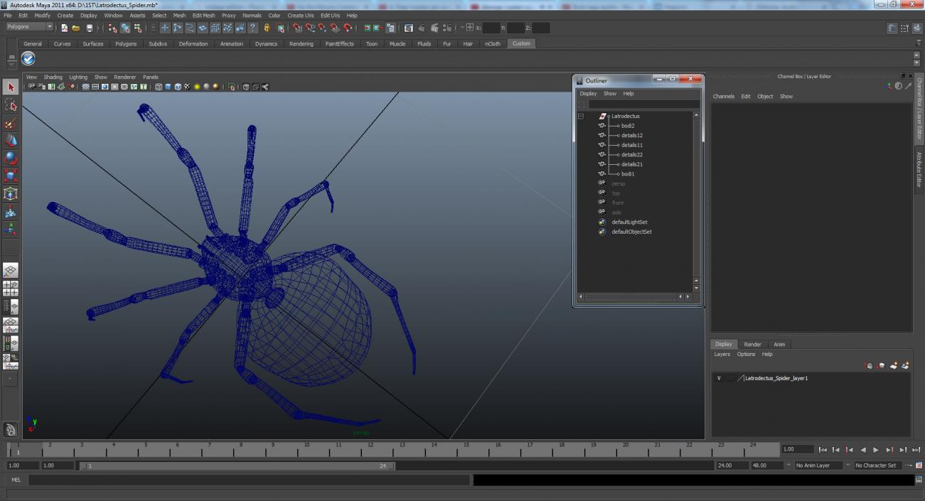 3D Latrodectus Spider model