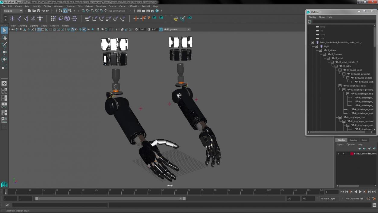 3D Brain Controlled Prosthetic Limbs model