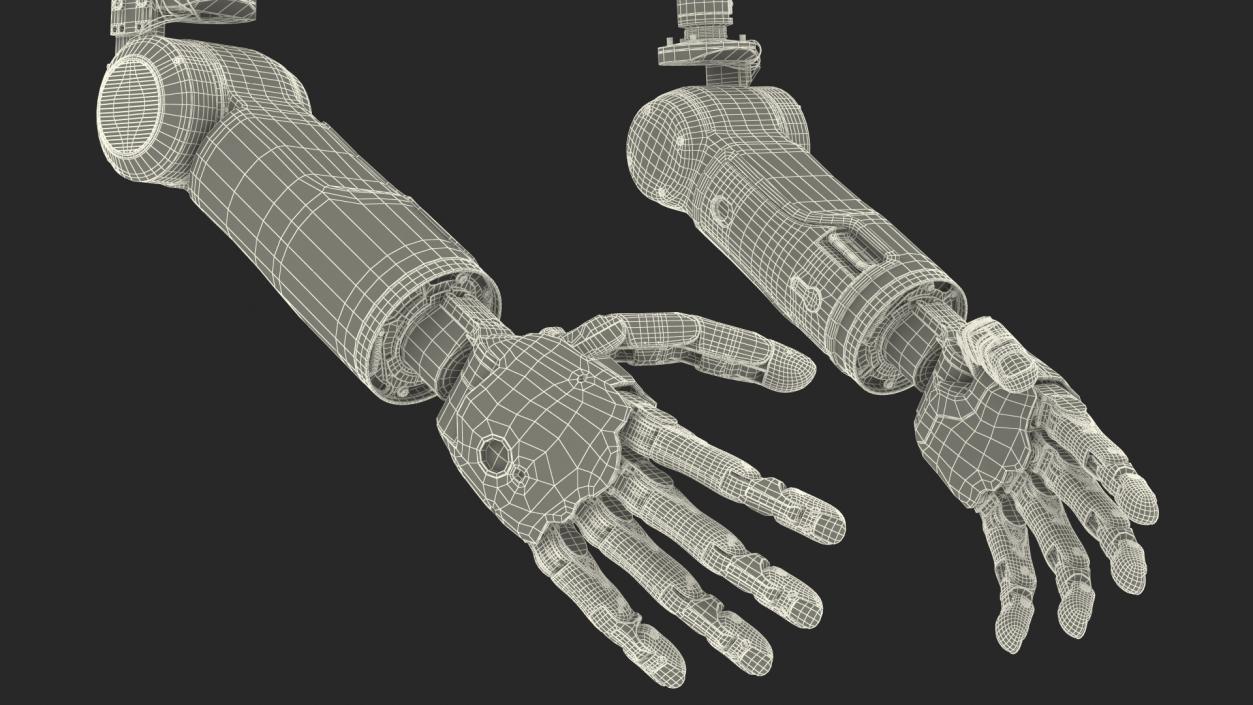 3D Brain Controlled Prosthetic Limbs model