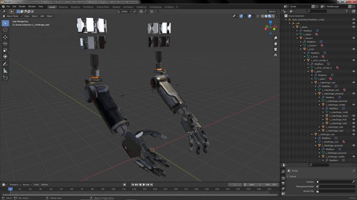 3D Brain Controlled Prosthetic Limbs model