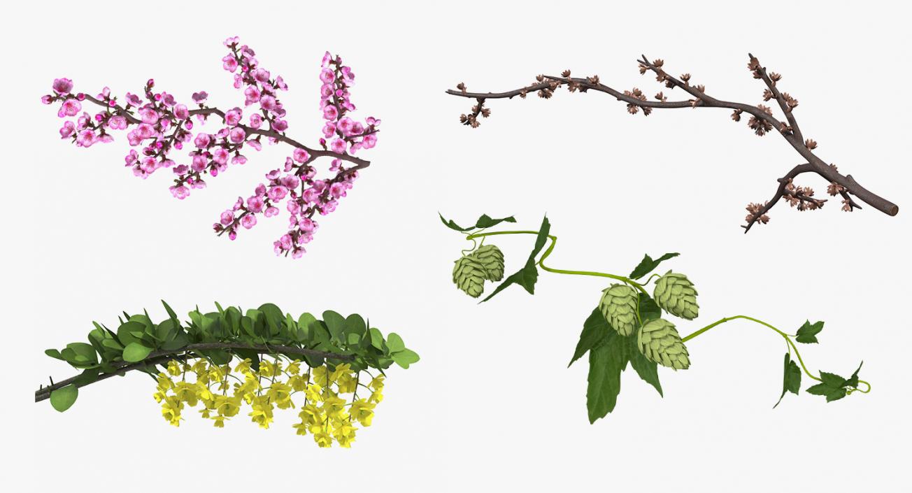 3D Branches Collection 2