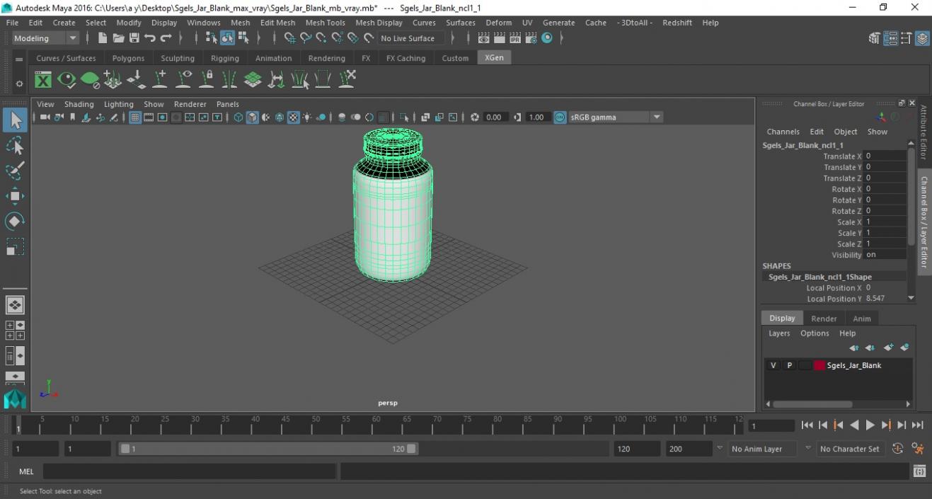 3D model Sgels Jar Blank