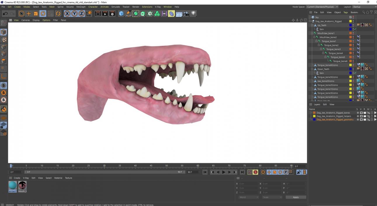 Dog Jaw Anatomic Rigged for Cinema 4D 2 3D model